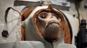 space monkey