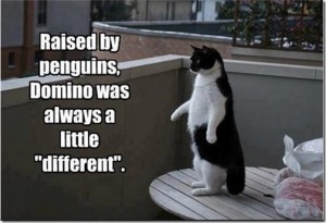 raised by penguins