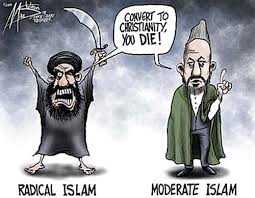 moderate vs radical