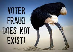 voter fraud ostrich