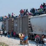 illegals train